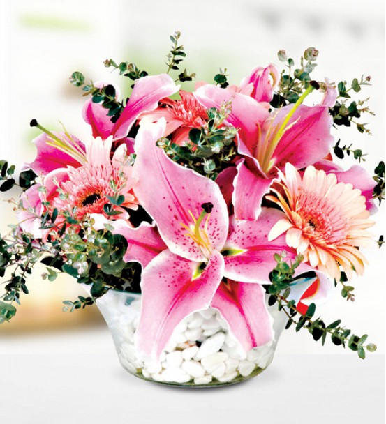 Camda Pembe Lilyum Cerbere